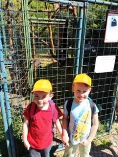 Zoo