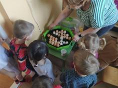 Jaro už se blíží 